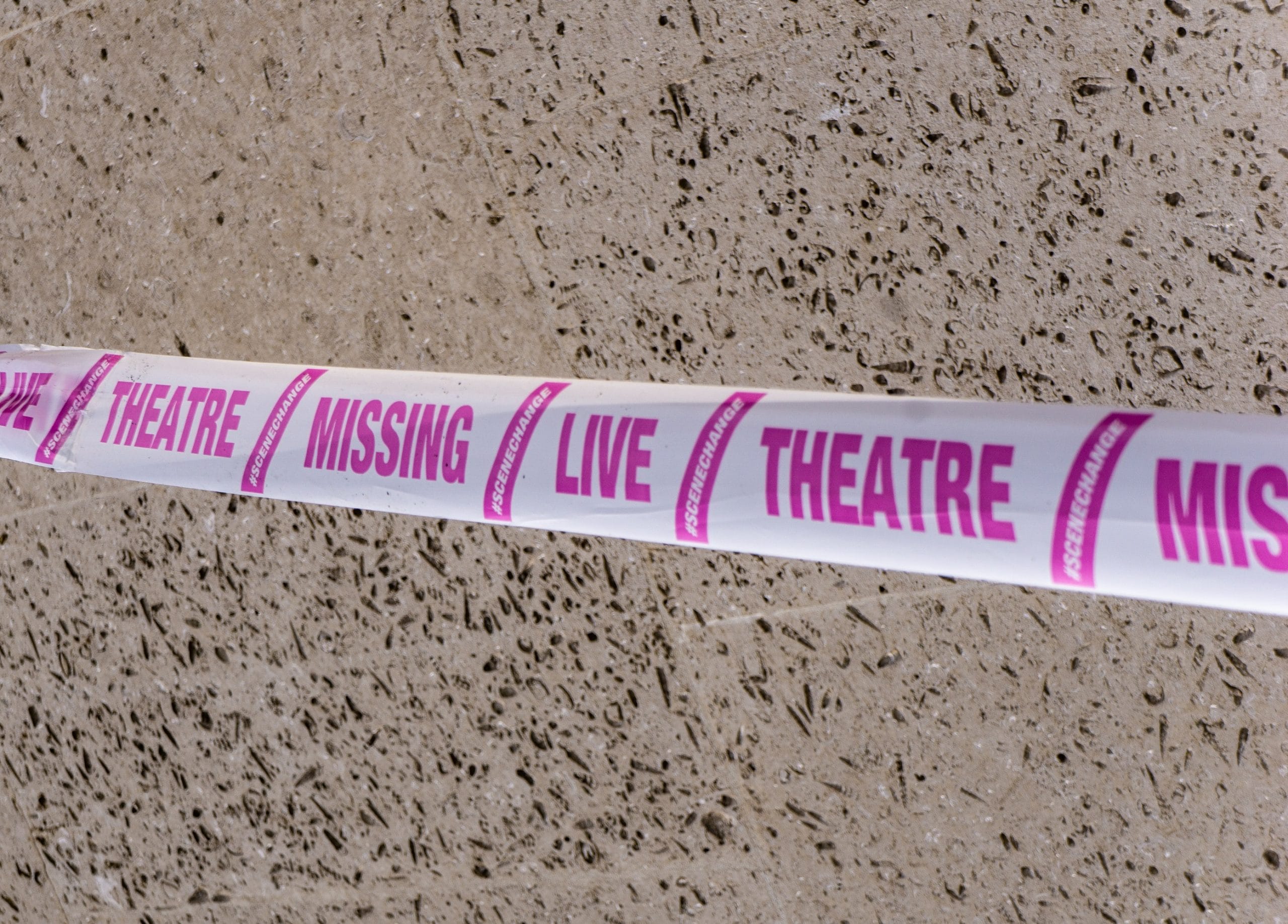 credit Tara Rutledge