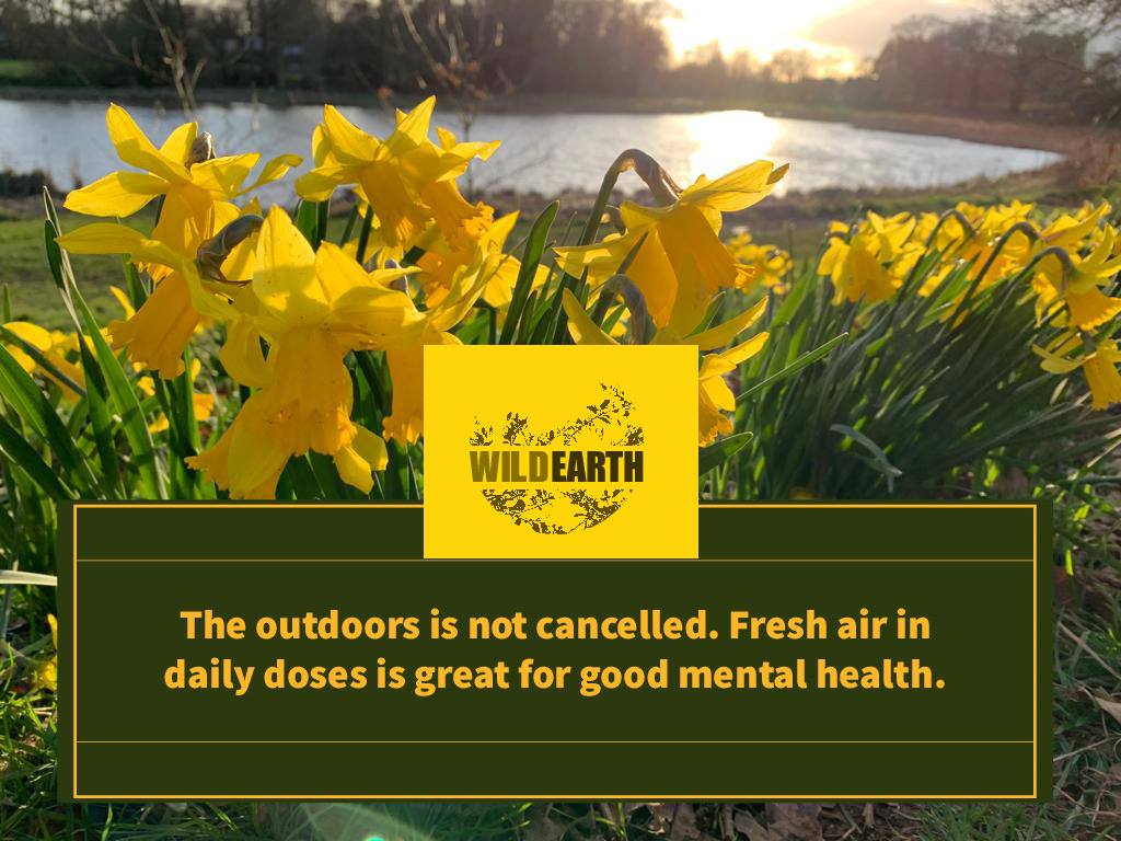 Saturday Shout Out &#8211; Wild Earth: Nature Beats