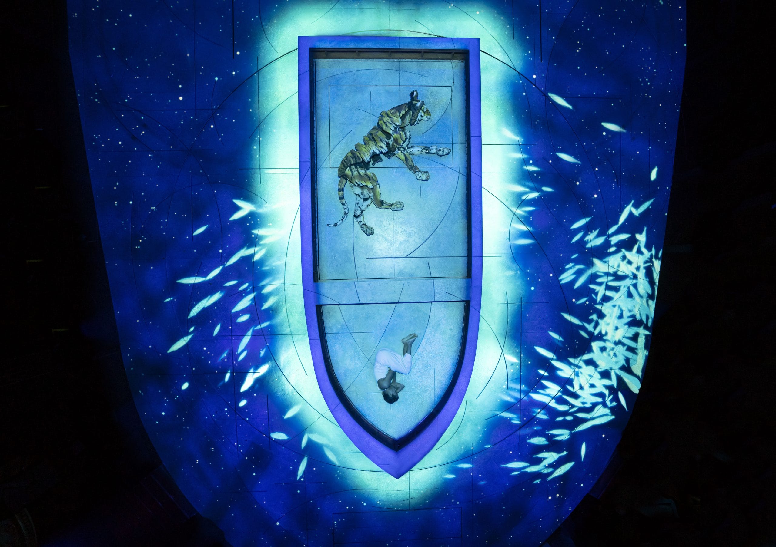 Credit: Johan Persson