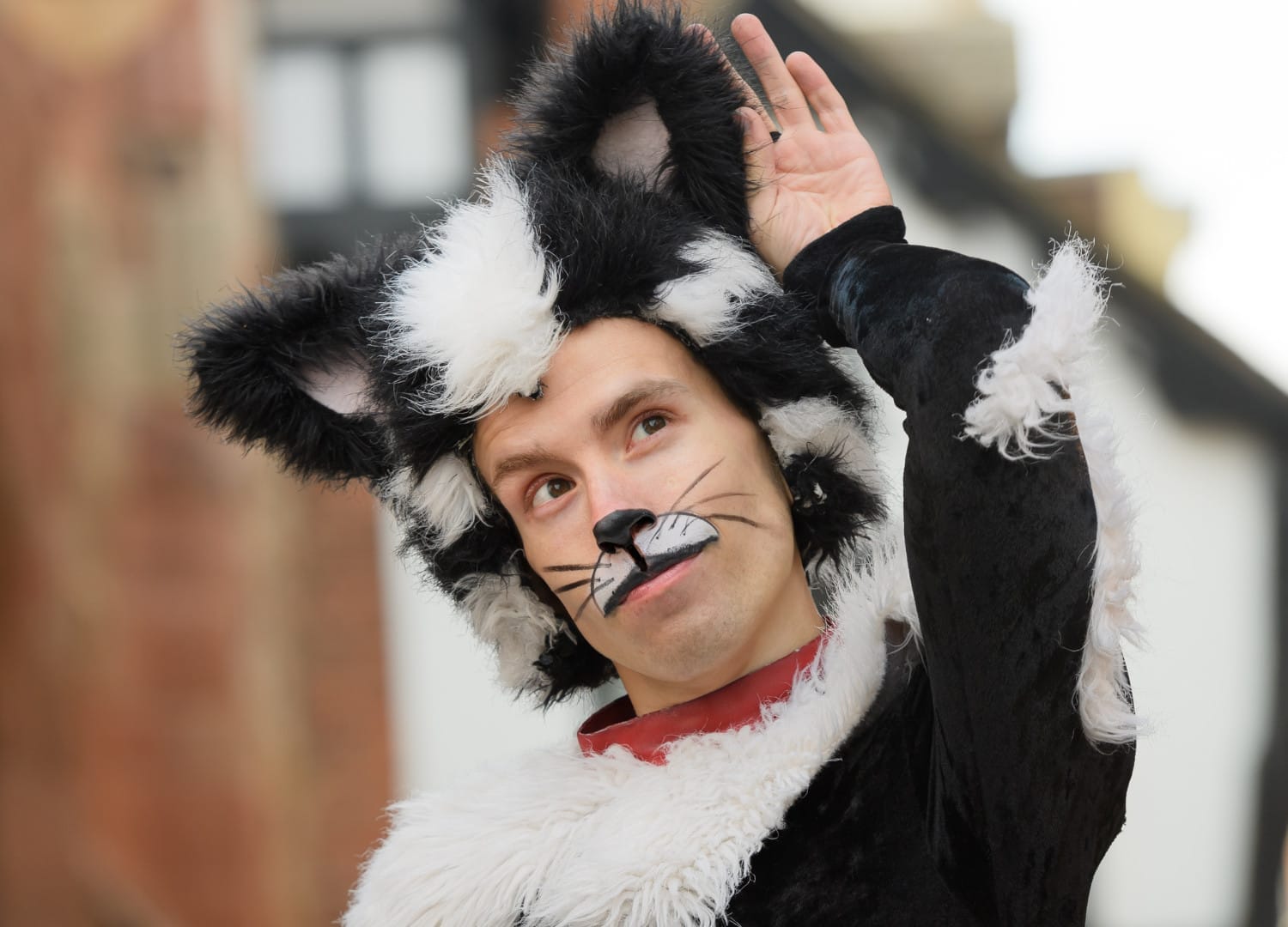 Sam Woods - Tommy the Cat