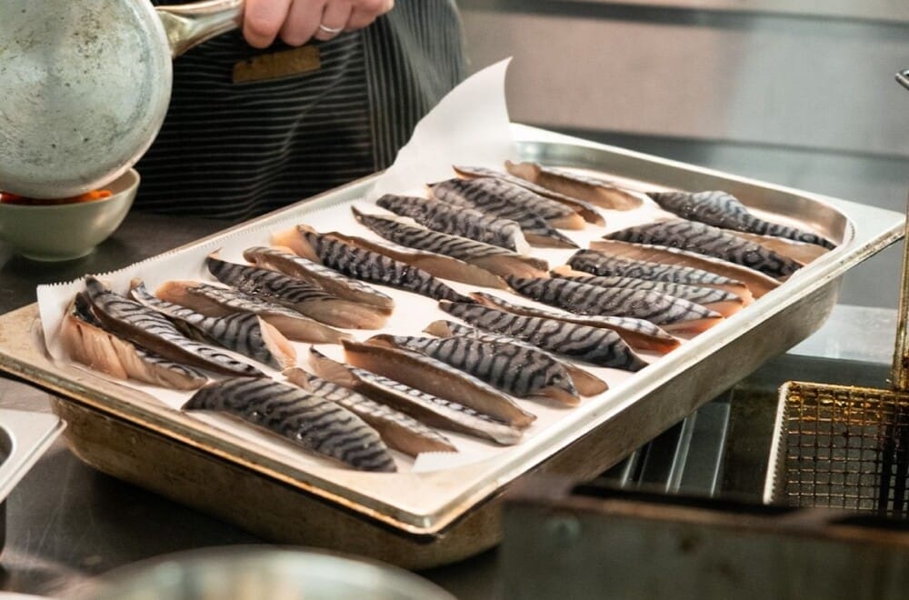 Photo from a previous event. Cr. Nic Petric.