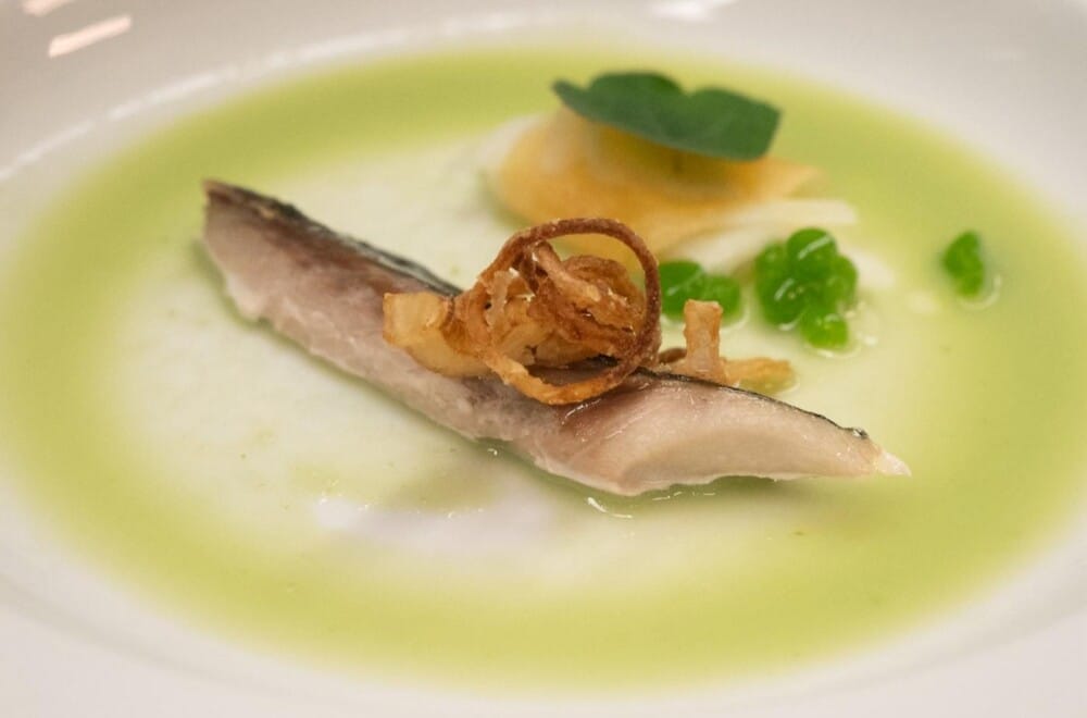 Photo from a previous event. Cr. Nic Petric.